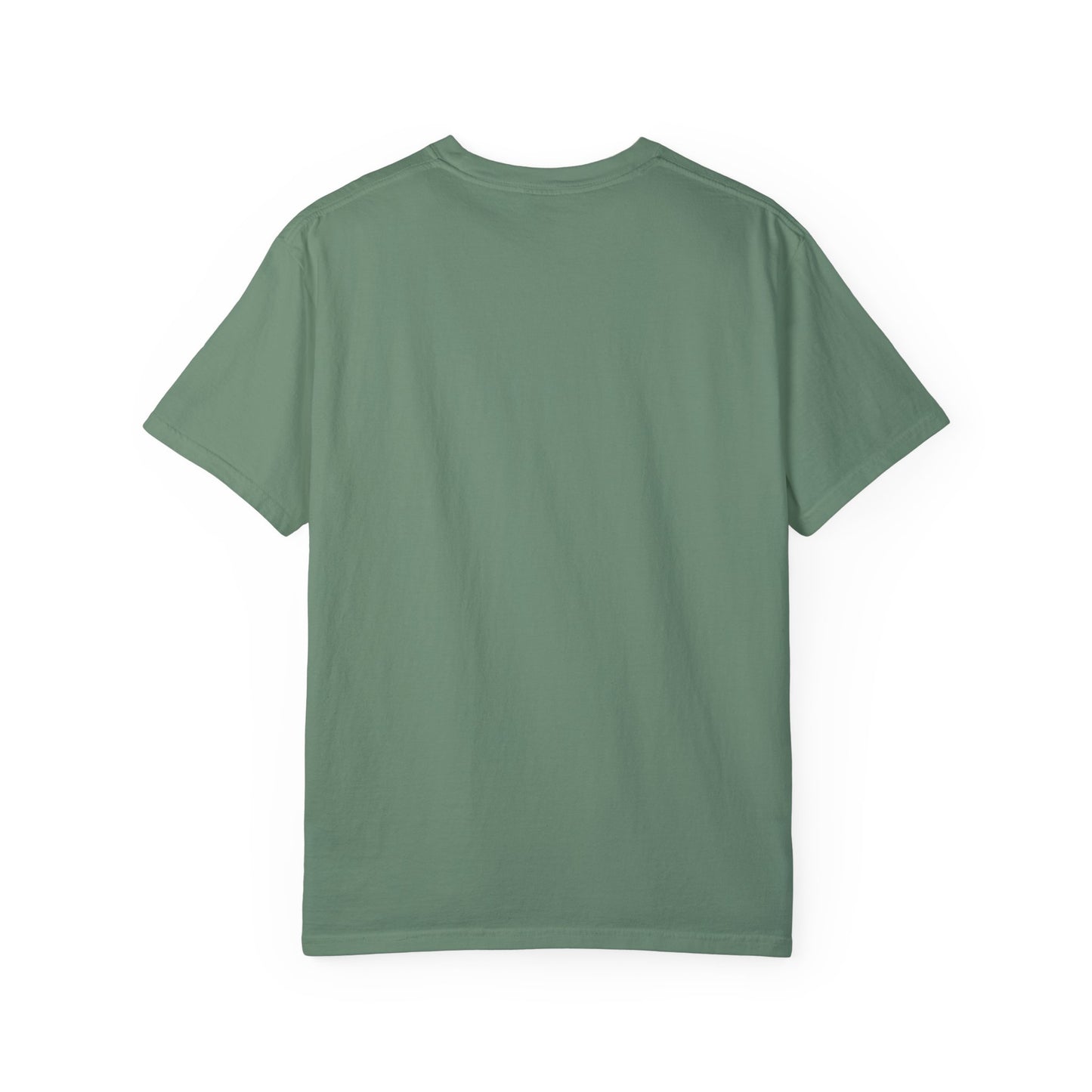 Motivational Unisex T-Shirt - "Don't Let My Degrees or Experience Get in the Way of What You Want to Do"
