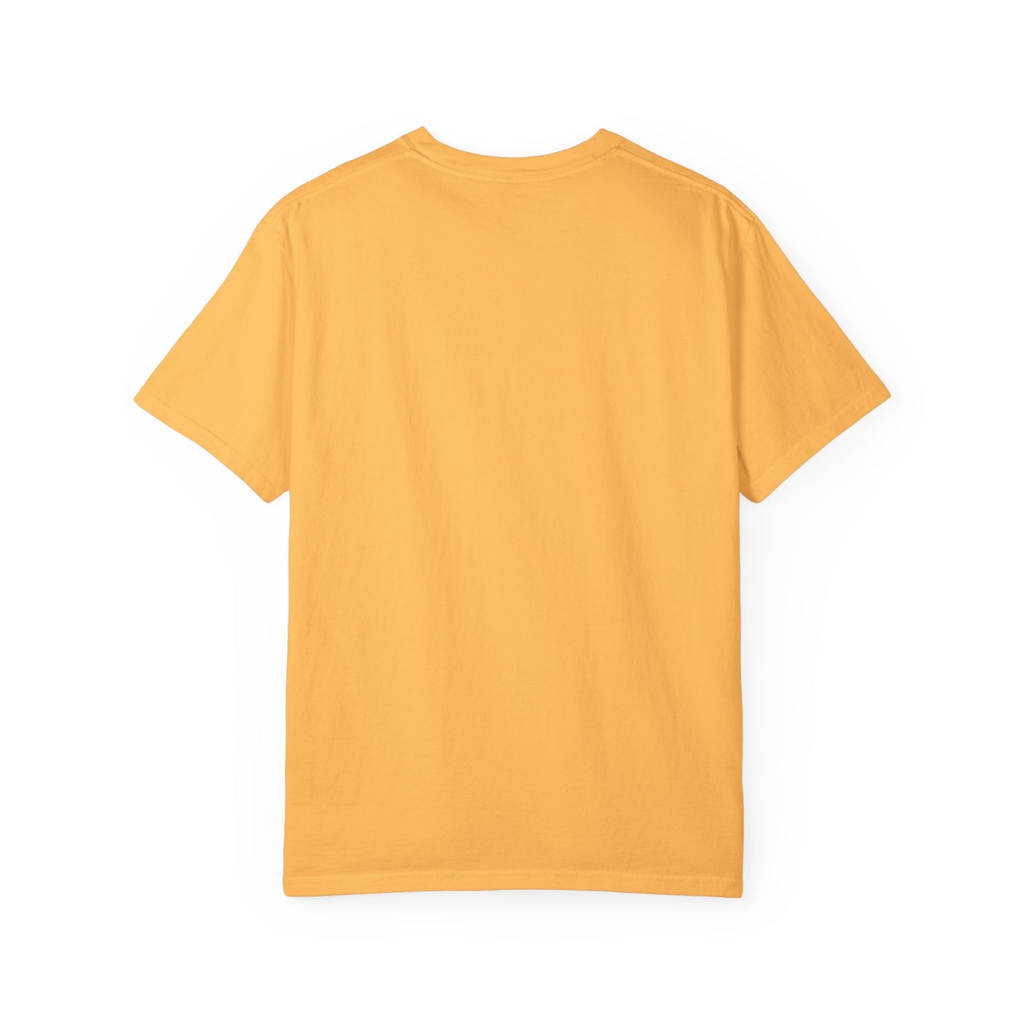 Healthcare Heroes Tribute T-shirt North Carolina
