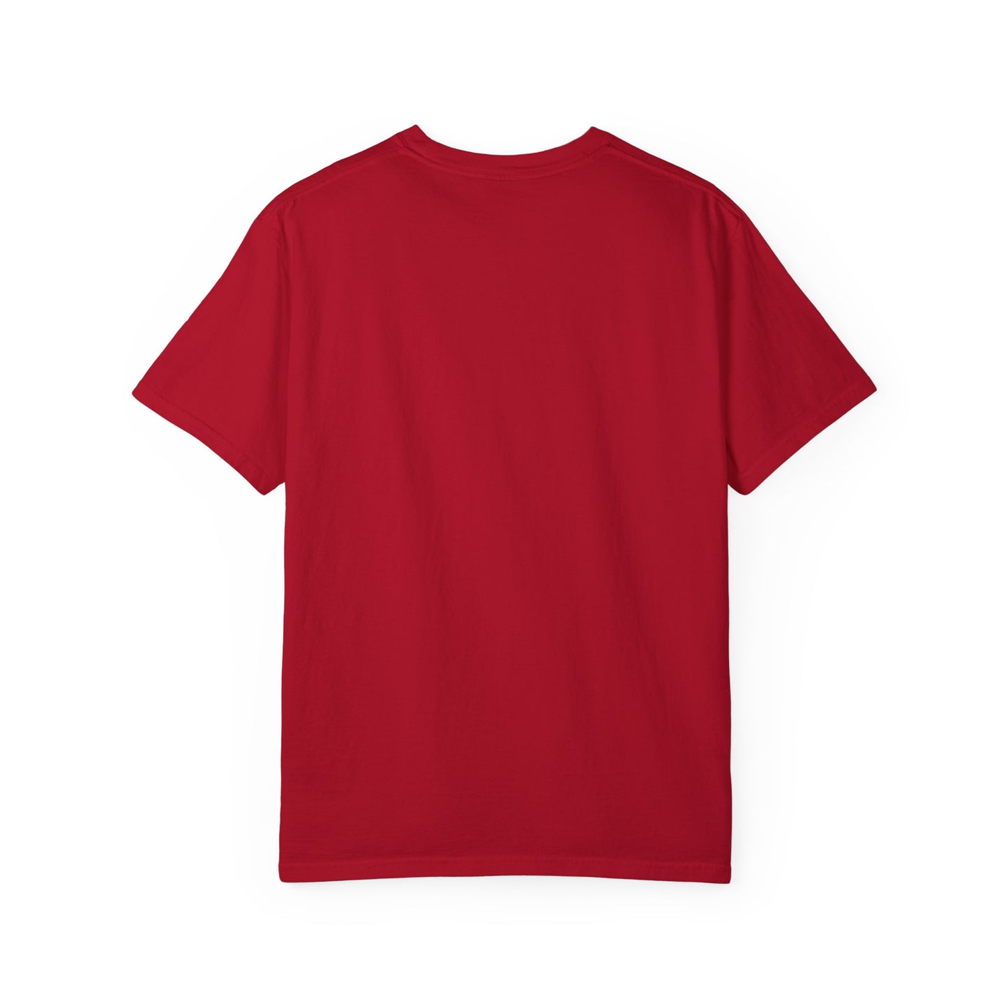 Motivational Unisex T-Shirt - "Don't Let My Degrees or Experience Get in the Way of What You Want to Do"